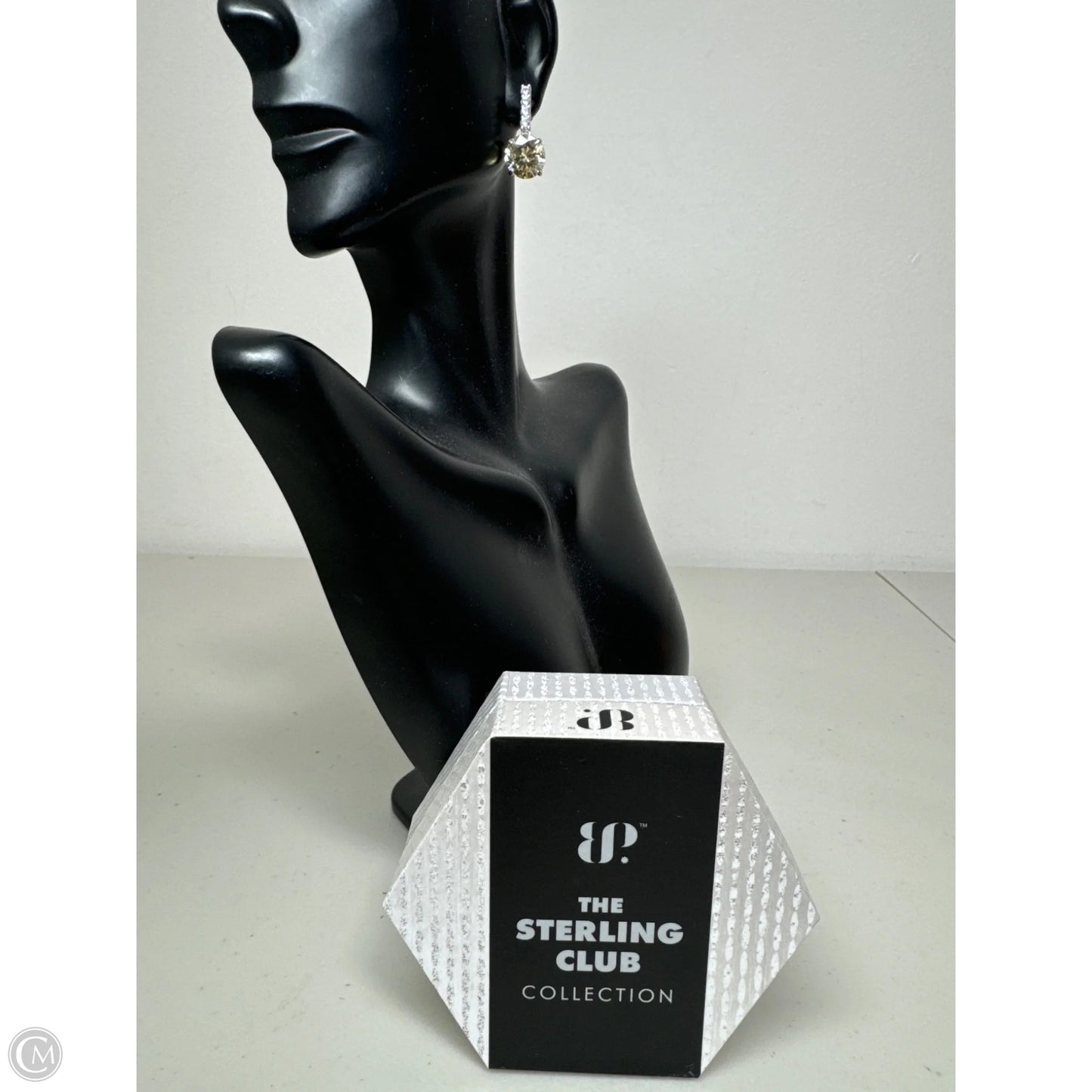 Earrings Sterling Silver By Cmb