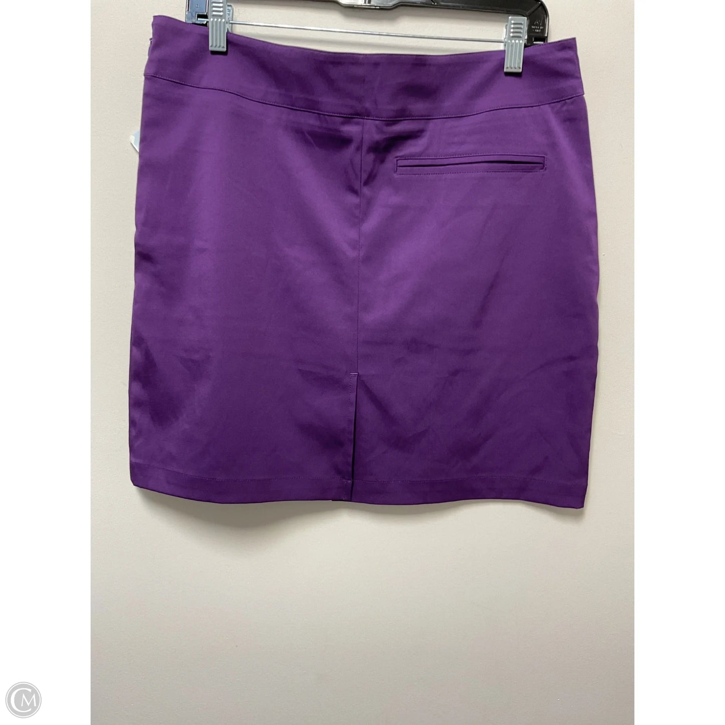 Skirt Mini & Short By Clothes Mentor In Purple, Size: M