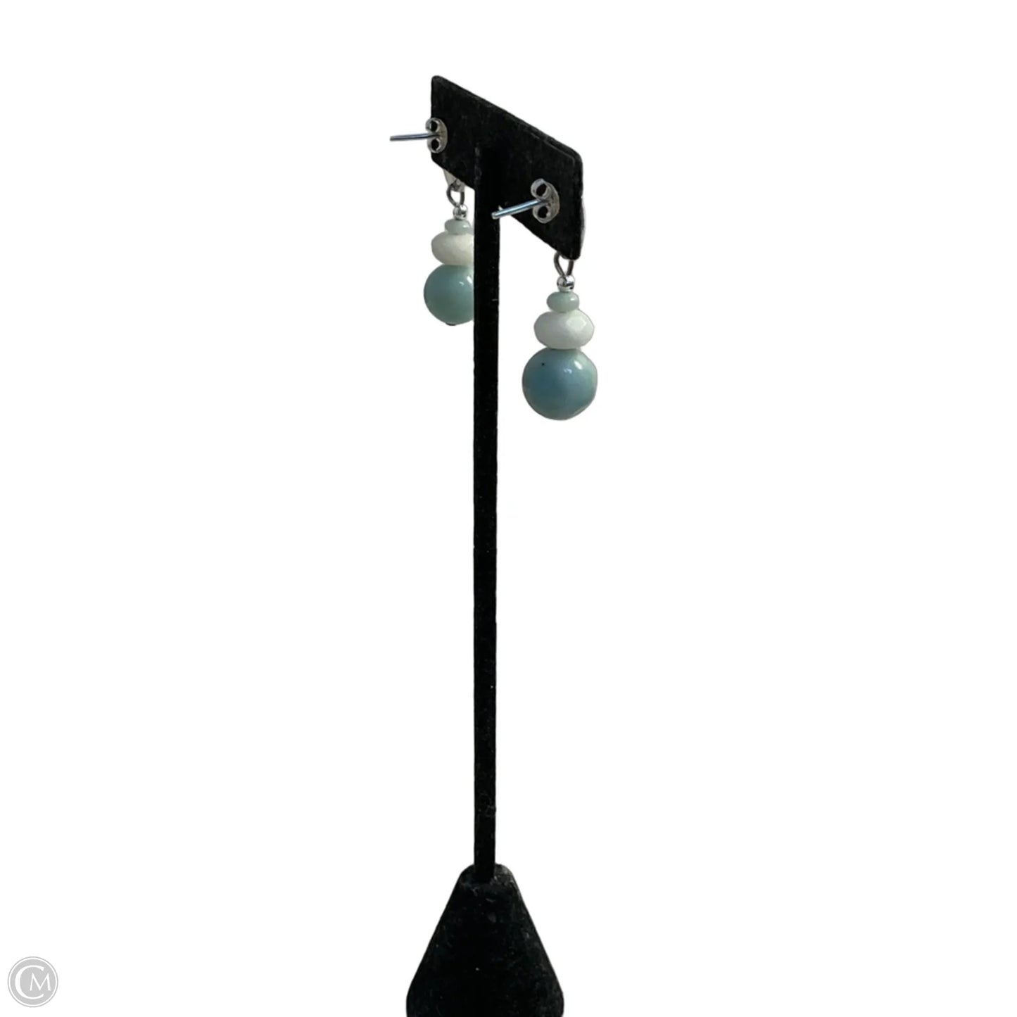 Earrings Dangle/drop By Clothes Mentor