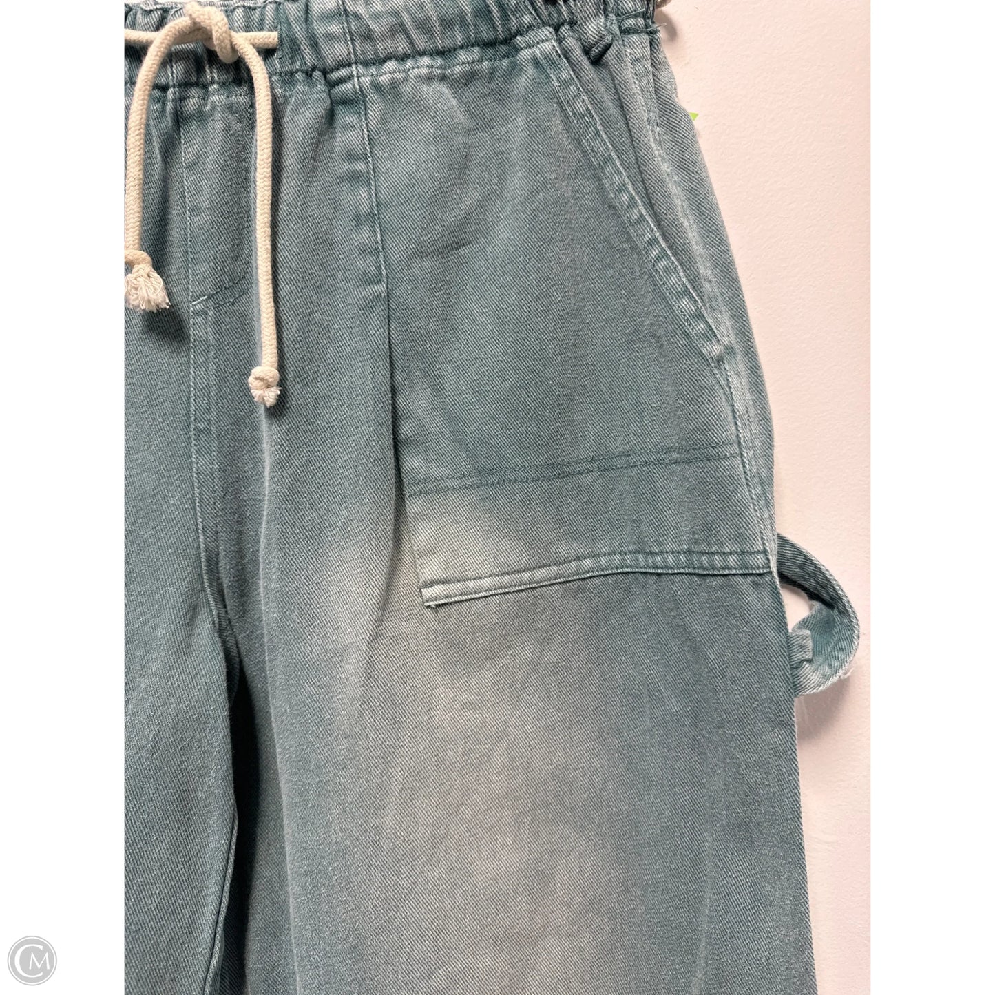 Jeans Wide Leg By Mustard Seed In Teal, Size: M