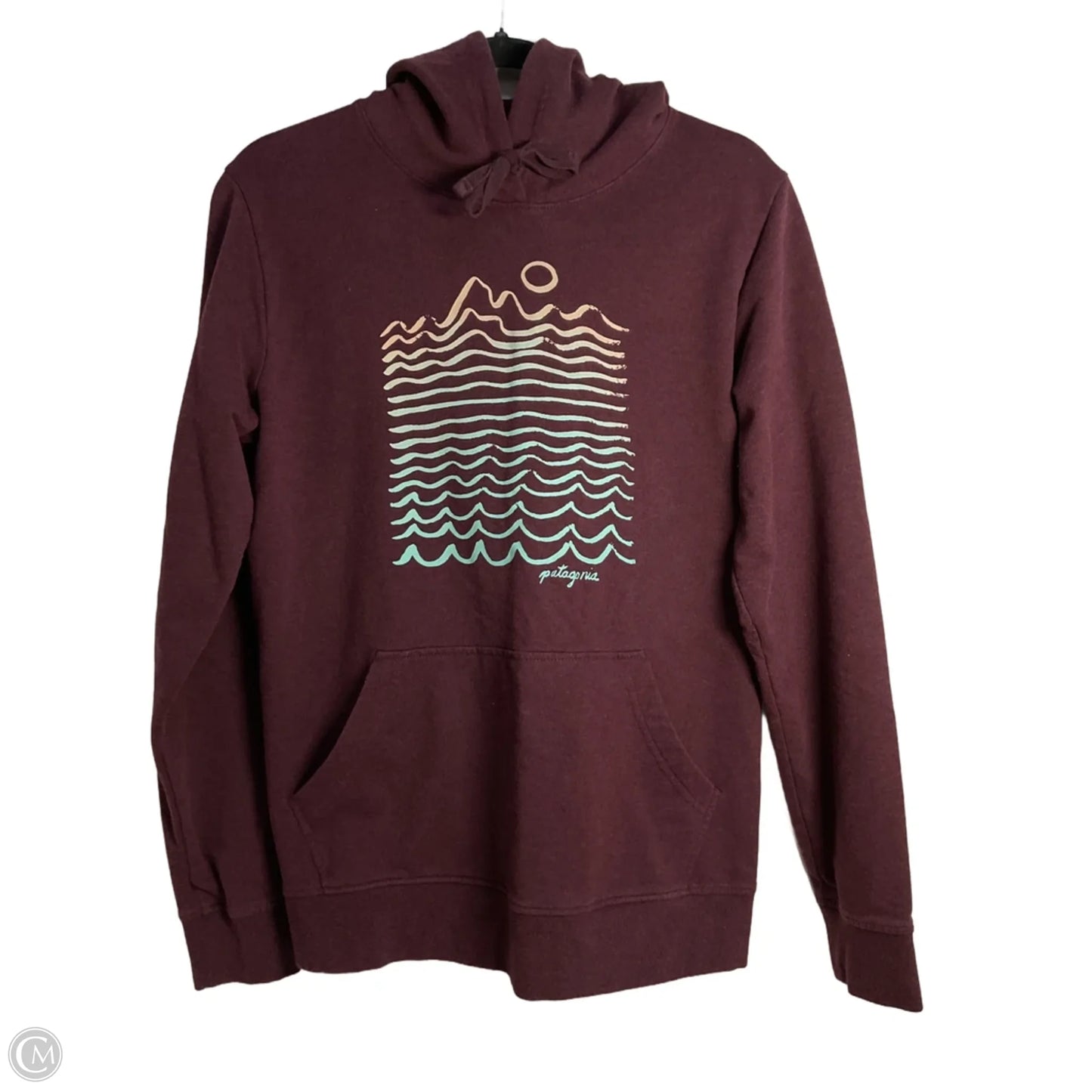 Sweatshirt Hoodie By Patagonia In Maroon, Size: L