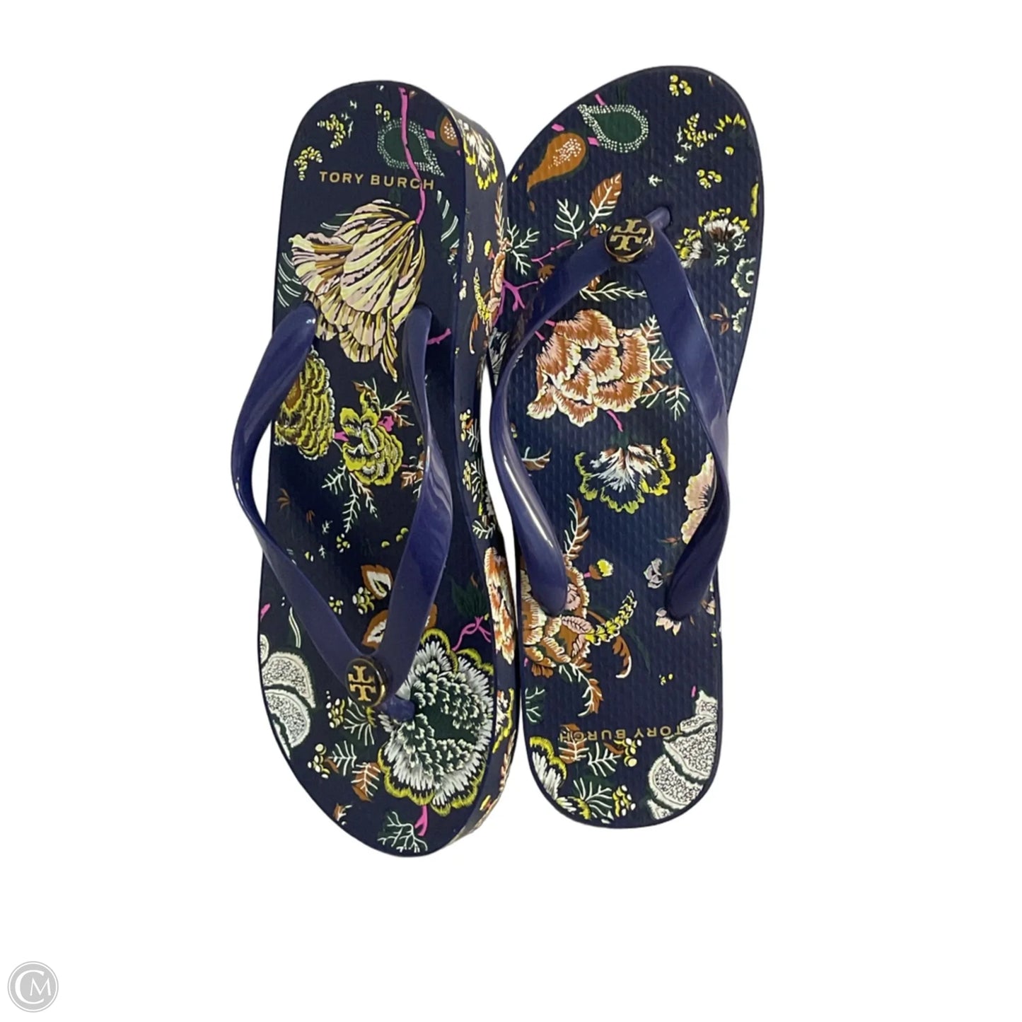 Sandals Designer By Tory Burch In Blue, Size: 9