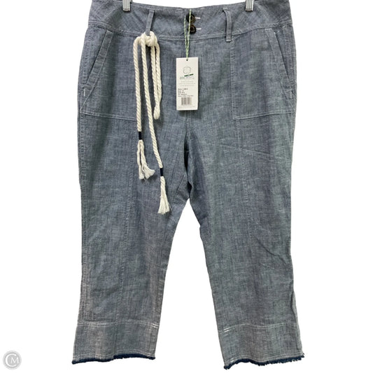 Pants Chinos & Khakis By Aventura In Blue, Size: 14