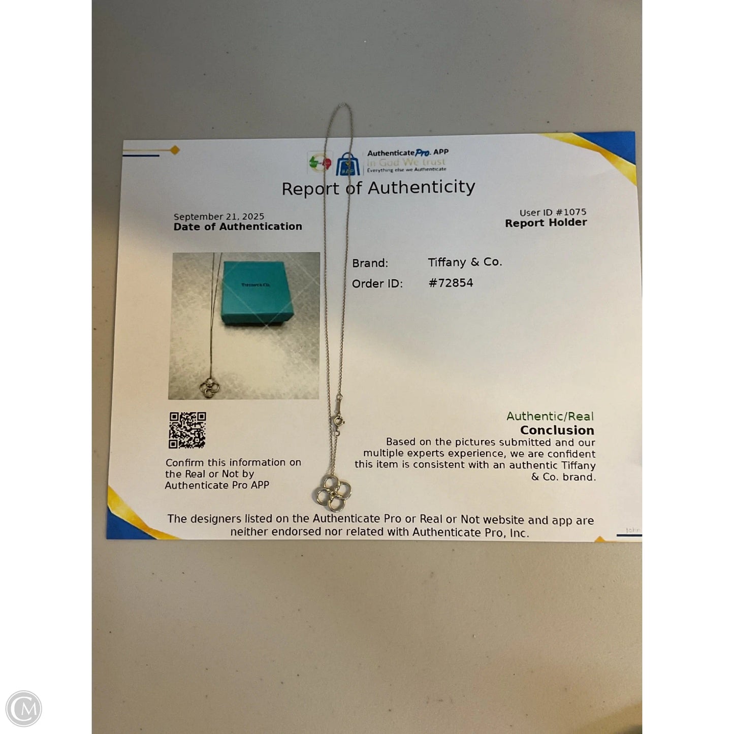 Necklace Luxury Designer By Tiffany And Company