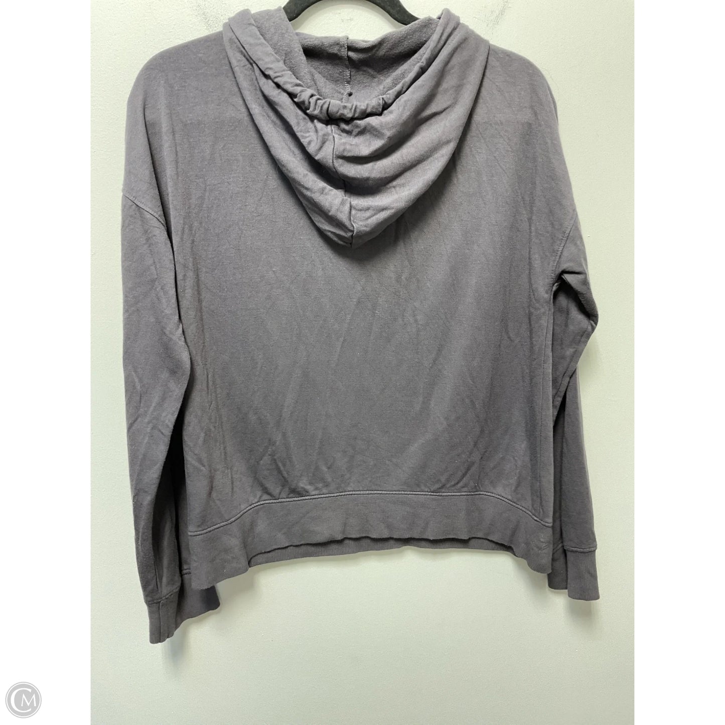 Sweatshirt Hoodie By Clothes Mentor In Grey, Size: Xs