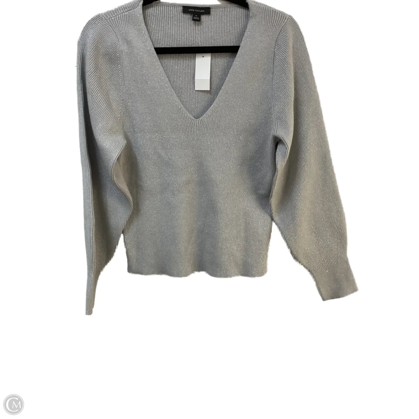 Top Long Sleeve By Ann Taylor In Silver, Size: Xl